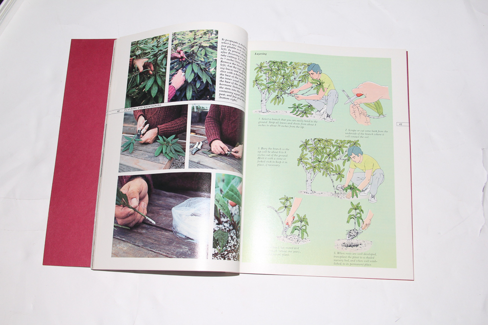 Collection of Gardening, Landscaping and Plant Books