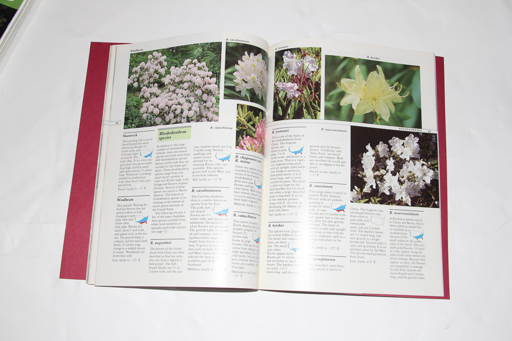 Collection of Gardening, Landscaping and Plant Books