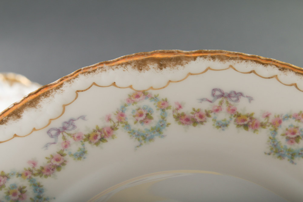 Theodore Haviland Limoges "Schleiger 330" China Service