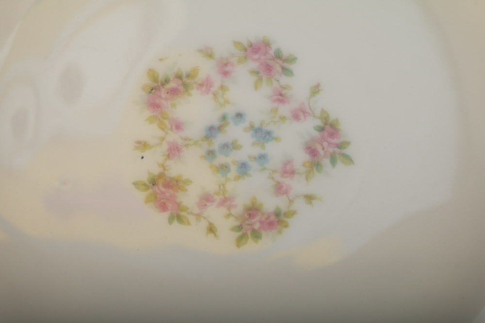 Theodore Haviland Limoges "Schleiger 330" China Service