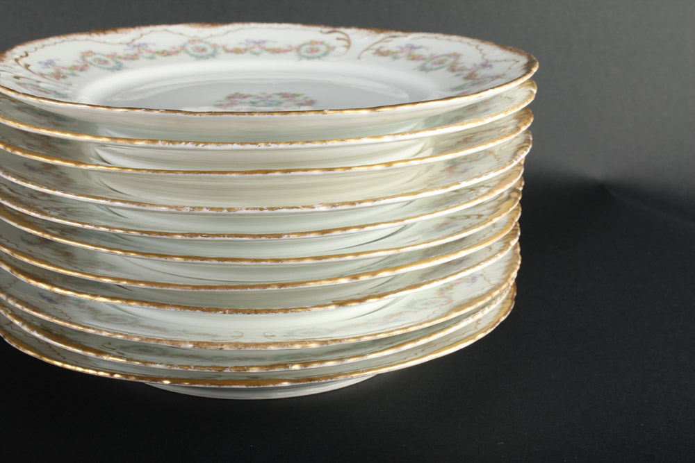 Theodore Haviland Limoges "Schleiger 330" China Service