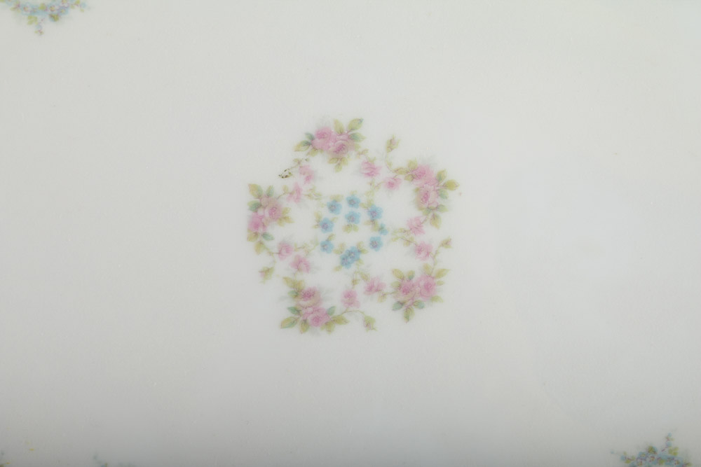 Theodore Haviland Limoges "Schleiger 330" China Service