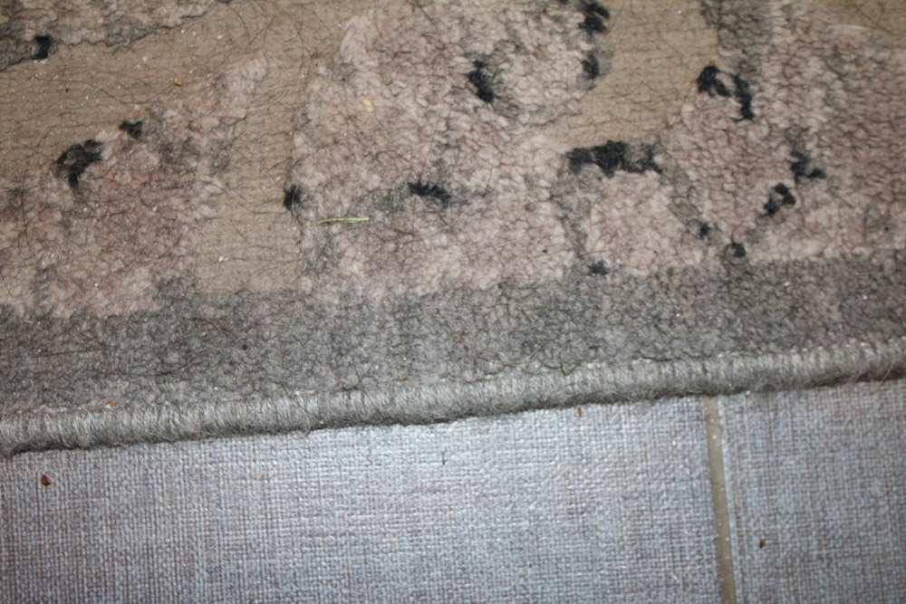 Nourison Area Rug from "Graphic Illusions" Collection