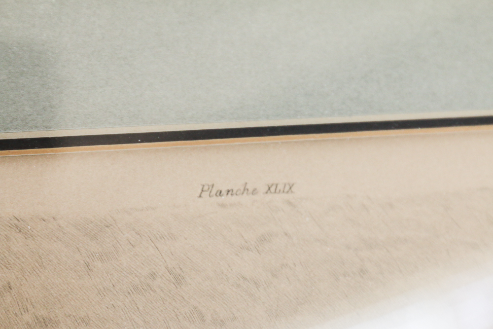 Collection of Vintage Dutch Pastoral Art