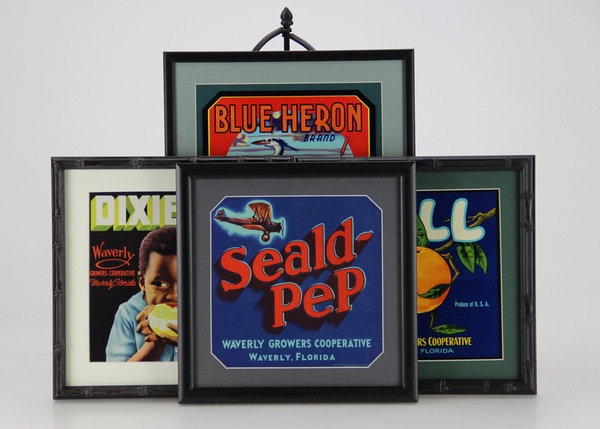 Florida Citrus Advertisements