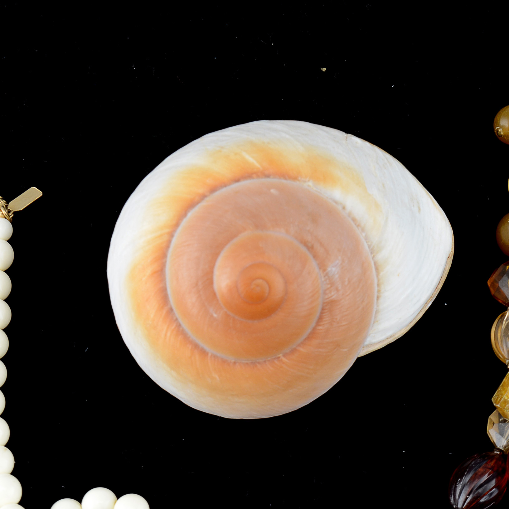 Fashion Jewelry Assortment