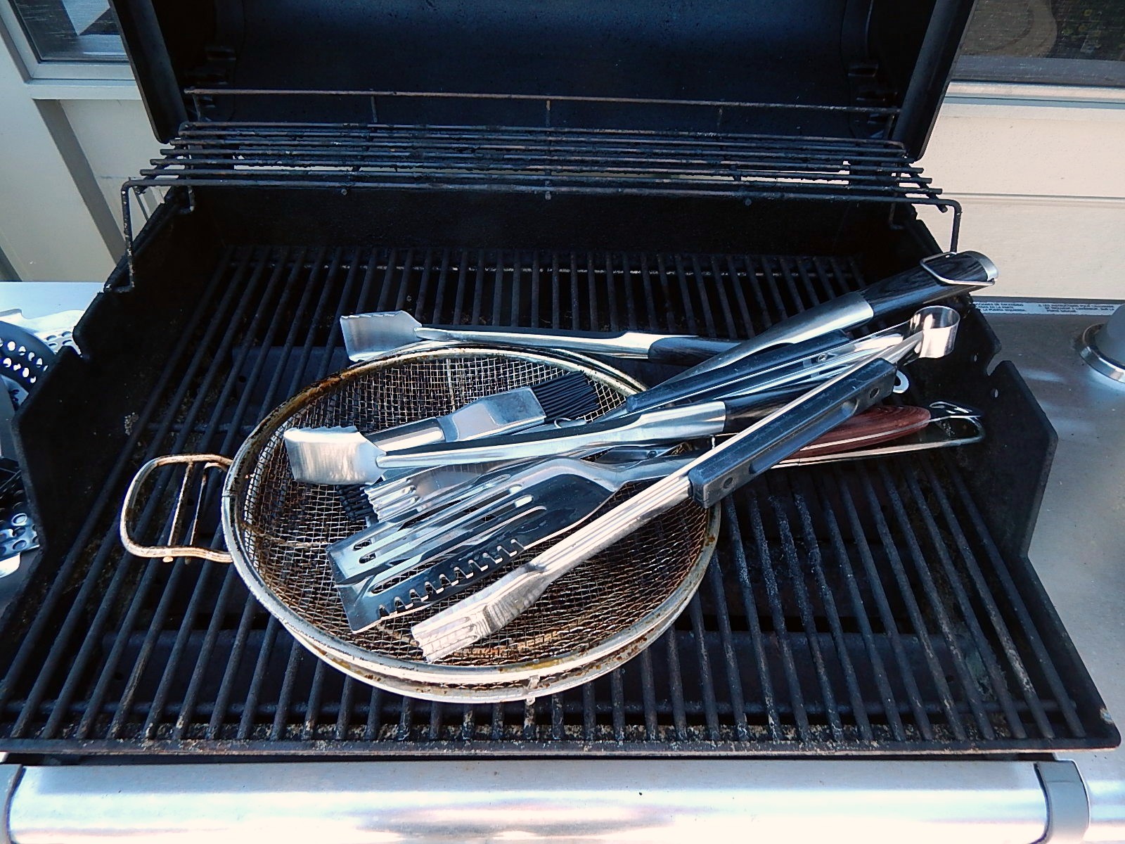 Weber Genesis Special Edition Gas Grill