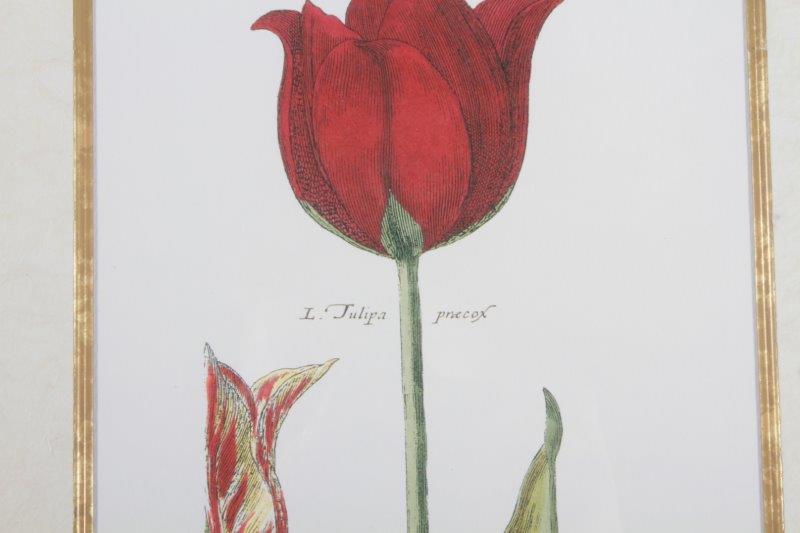 Pair of Floral Offset Lithographs