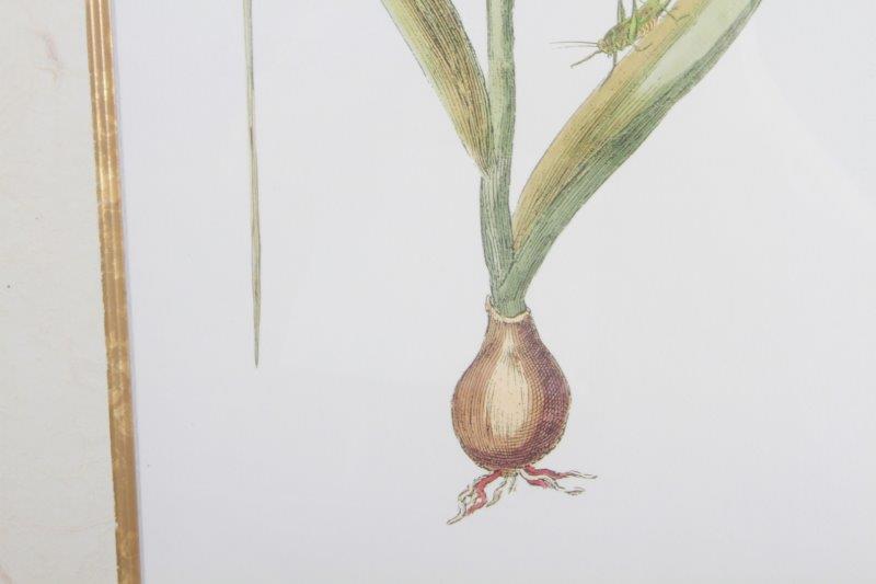 Pair of Floral Offset Lithographs