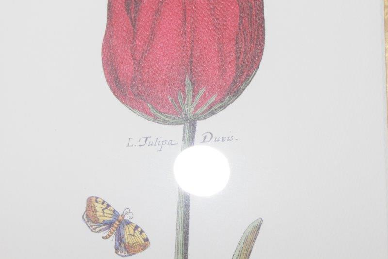 Pair of Floral Offset Lithographs