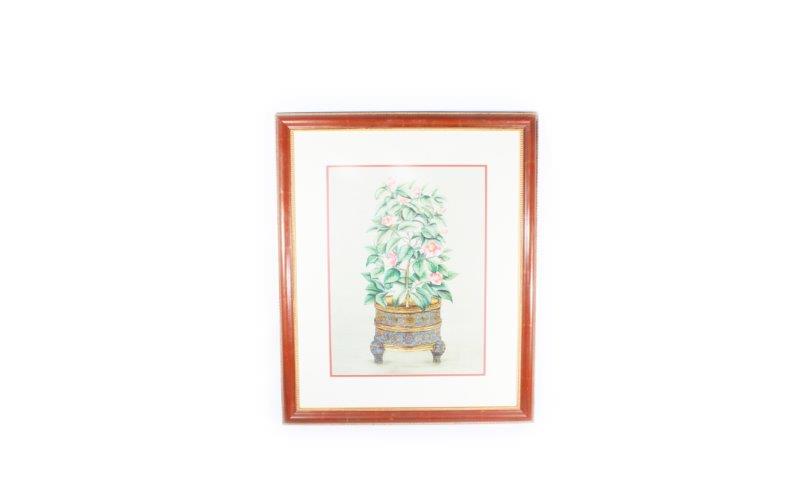 Botanical Themed Offset Lithograph