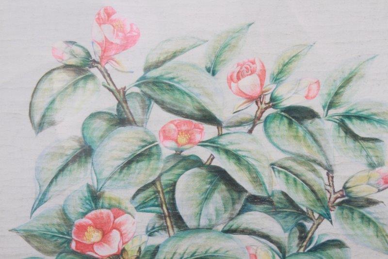 Botanical Themed Offset Lithograph