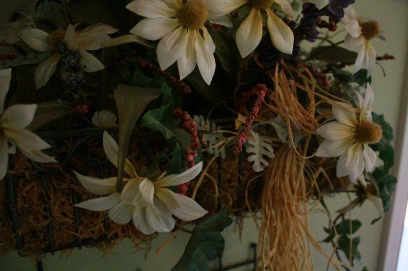 Wall Planter with Hooks