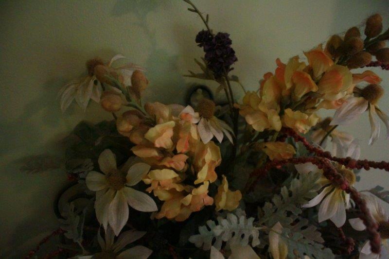 Wall Planter with Hooks