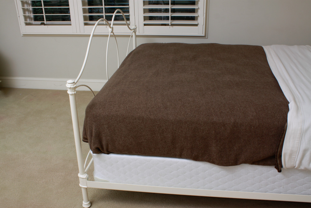 Pottery Barn Kids Allie Iron Queen Bed