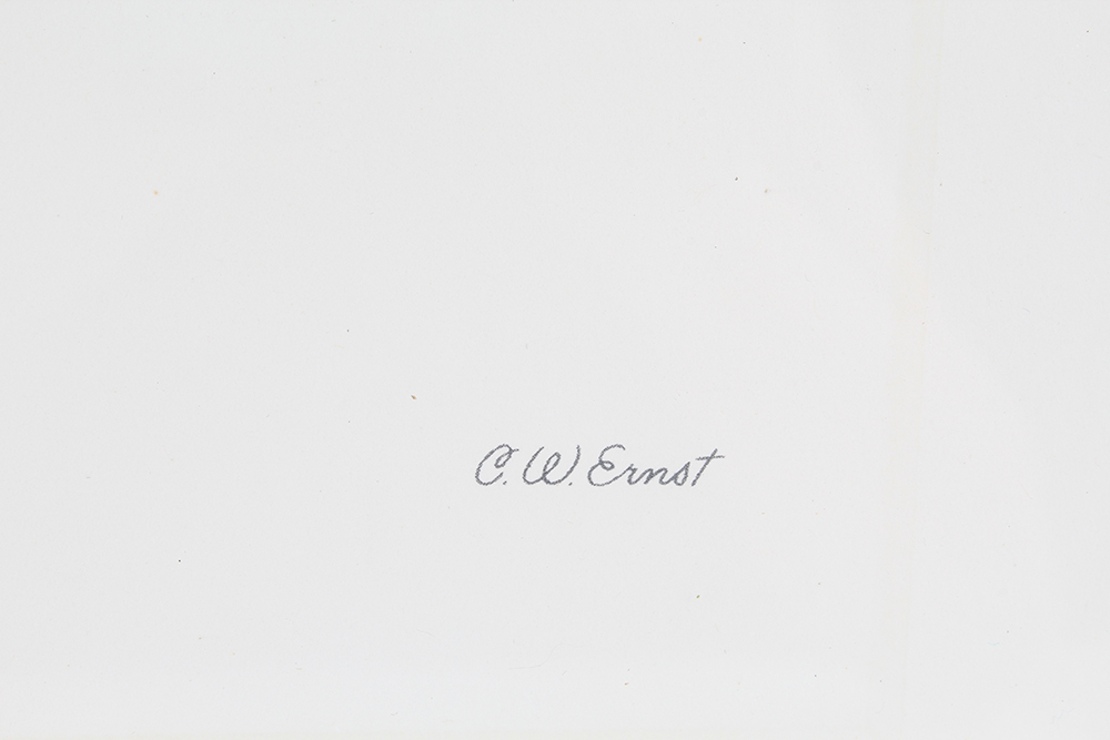 Talio-Crome Reproduced Print of "Lucky Debonair" by C.W. Ernst