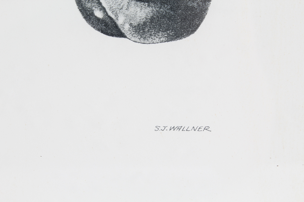 Talio-Crome Reproduced Print of "Proud Clarion" by S.J. Wallner