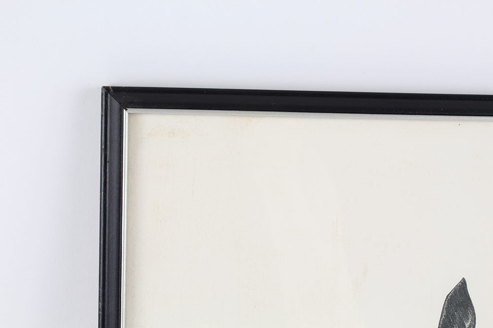 Talio-Crome Reproduced Print of "Proud Clarion" by S.J. Wallner