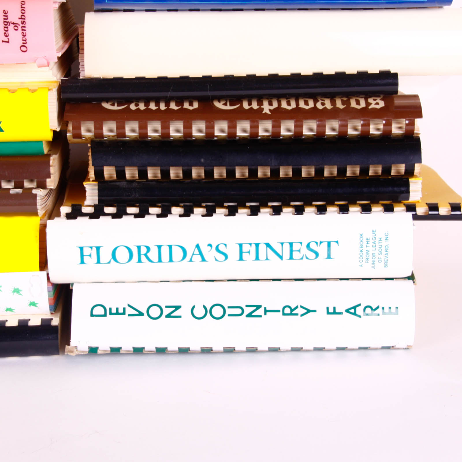 Variety of Spiral-Bound Cookbooks