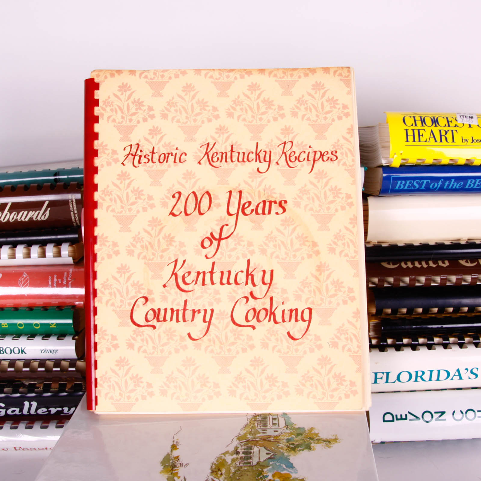 Variety of Spiral-Bound Cookbooks
