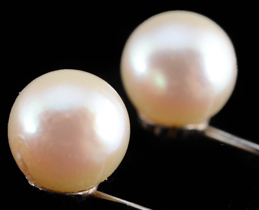 14K White Gold and Cultured Pearl Screw Back Earrings