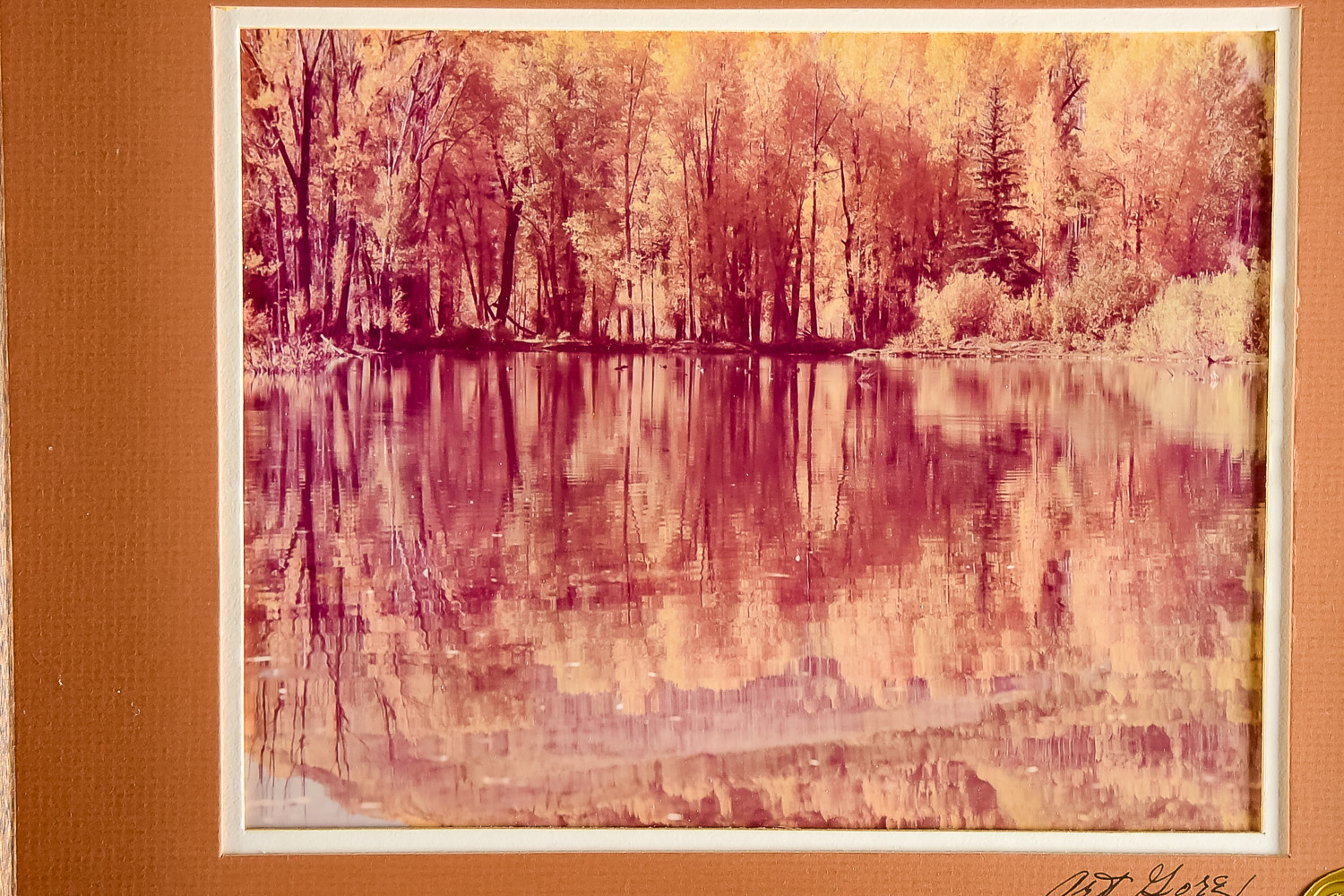 Vintage Art Gore Scenic Woodland Lake Signed Photograph