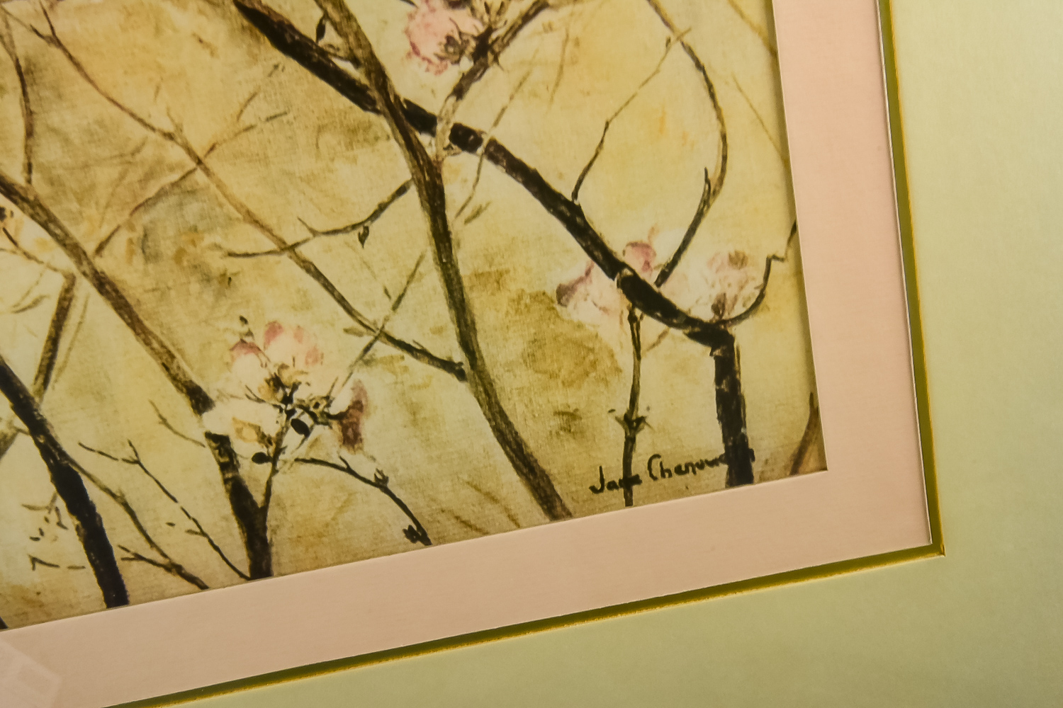 "Flowering Quince" Framed Vintage Print by Jane Chenoweth