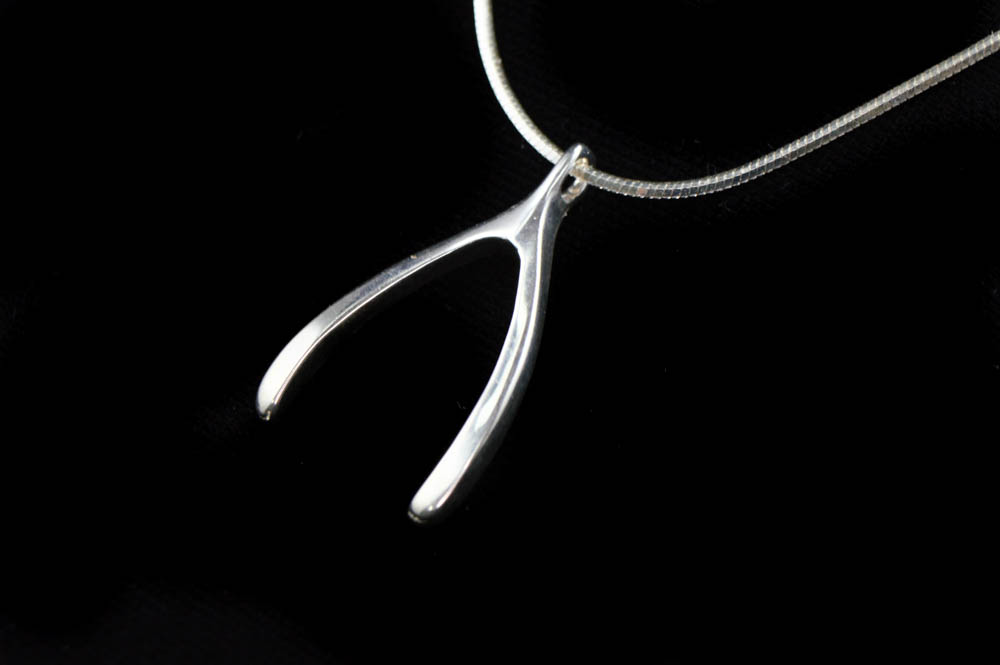 Sterling Silver Wishbone Pendant with Chain