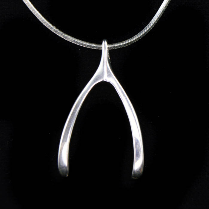 Sterling Silver Wishbone Pendant with Chain