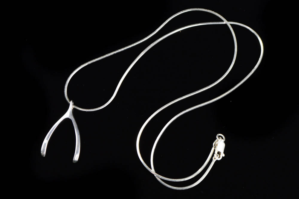 Sterling Silver Wishbone Pendant with Chain