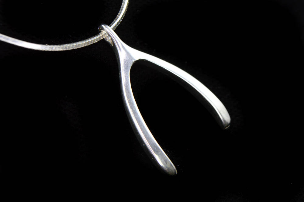 Sterling Silver Wishbone Pendant with Chain