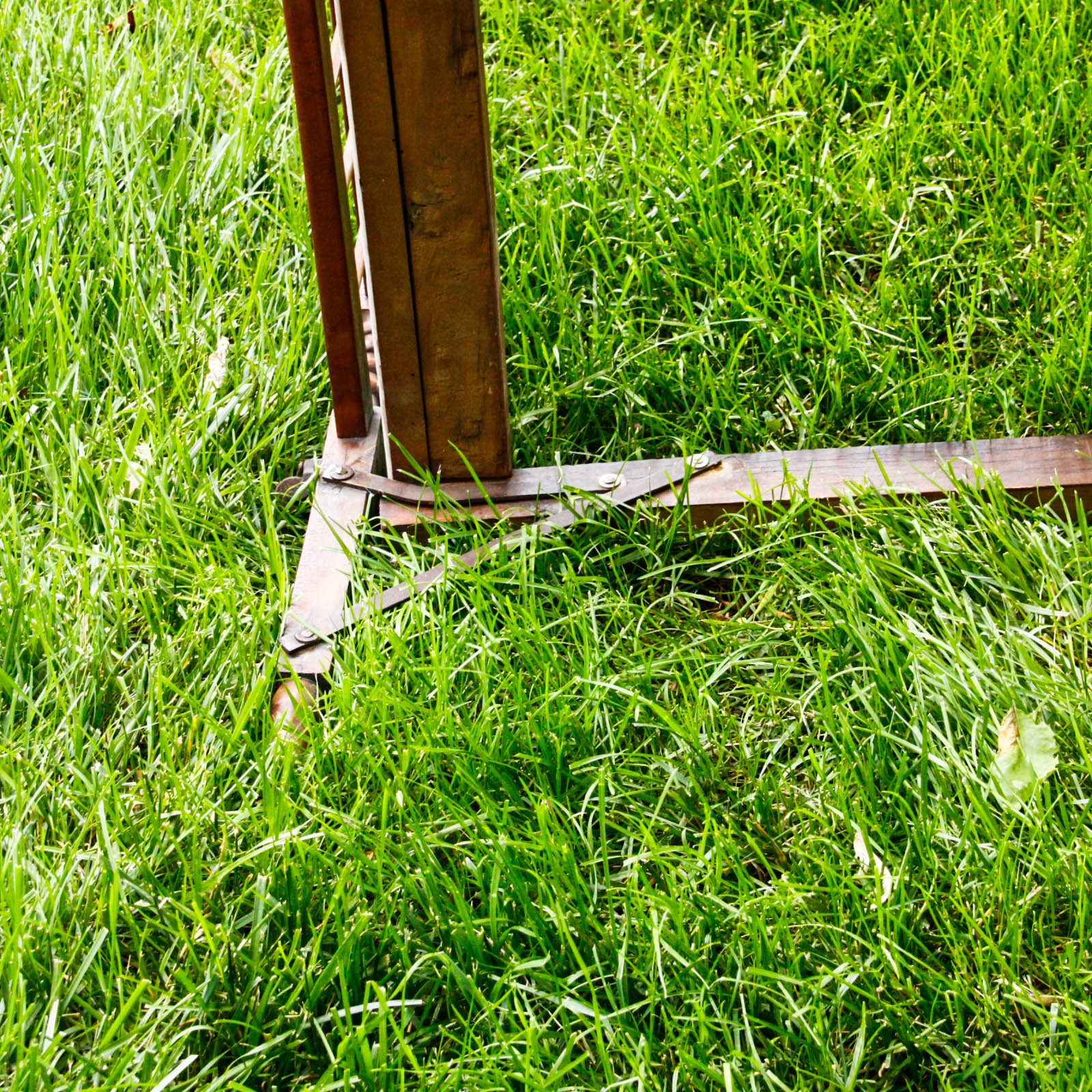 Collapsible Walnut Stained Children's Bed