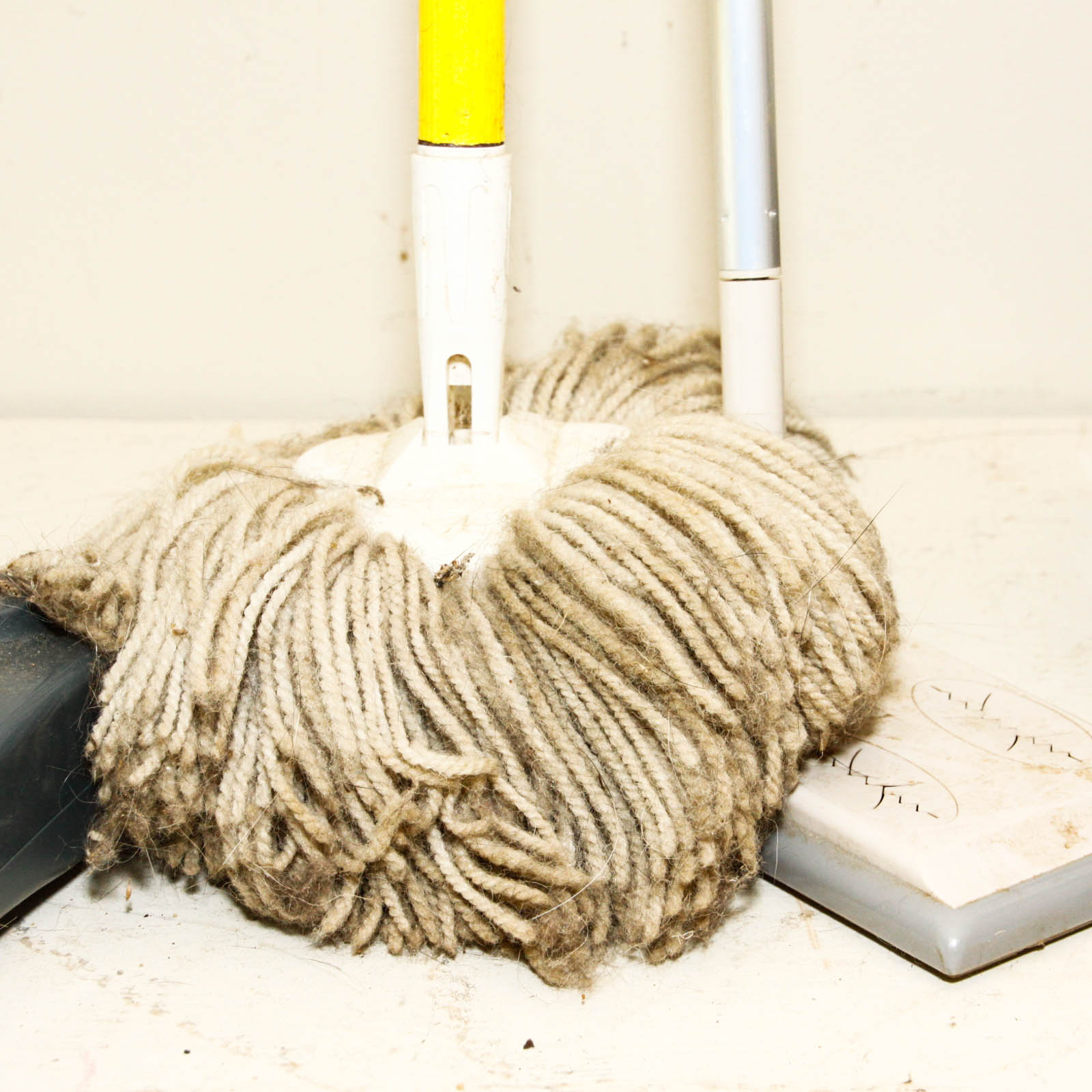 Mops, Brooms, and Dust Pans