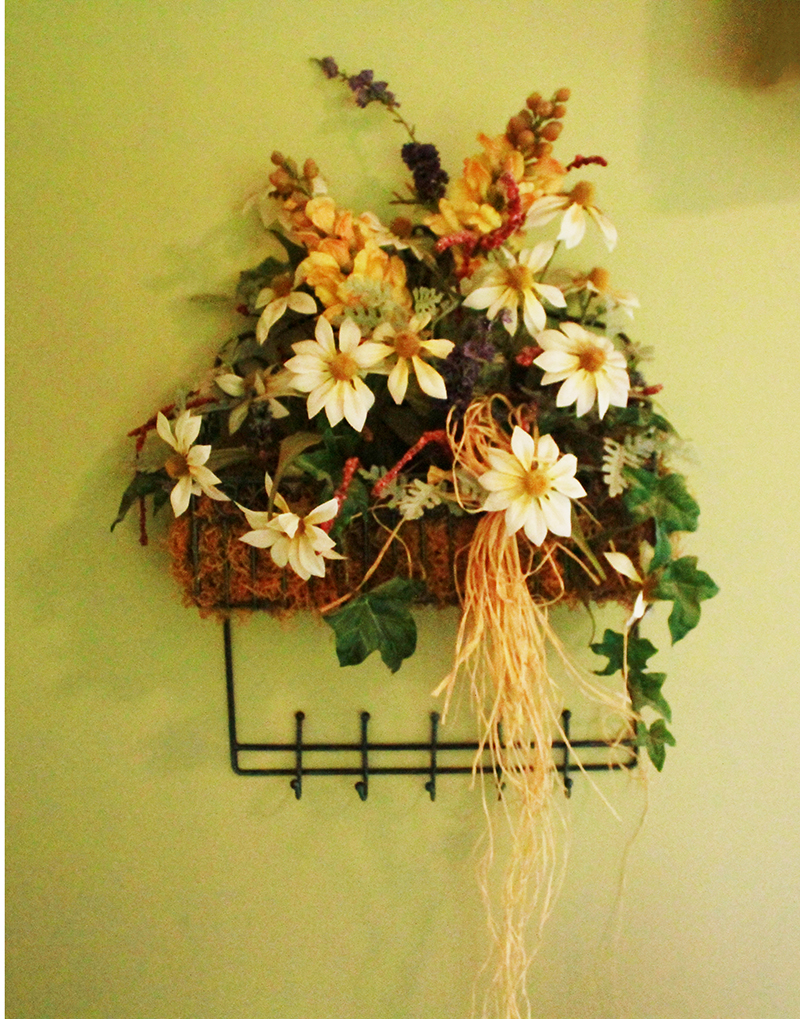 Wall Planter with Hooks