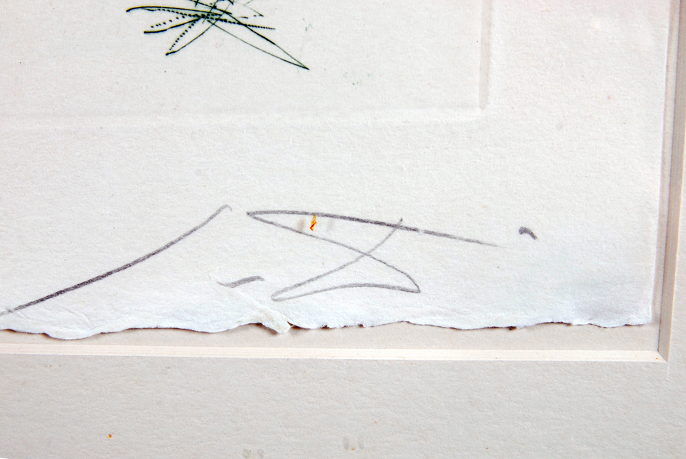 Signed Limited Edition Salvador Dali Lithograph