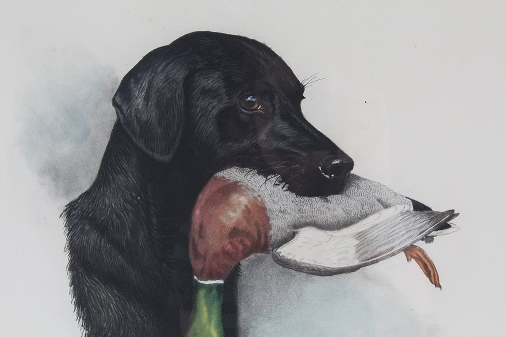 Boris Riab Prints of Original Watercolors