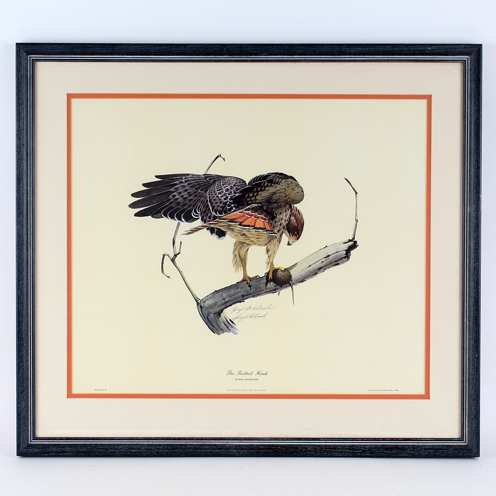 Signed Guy Coheleach "The Redtail Hawk" Lithograph