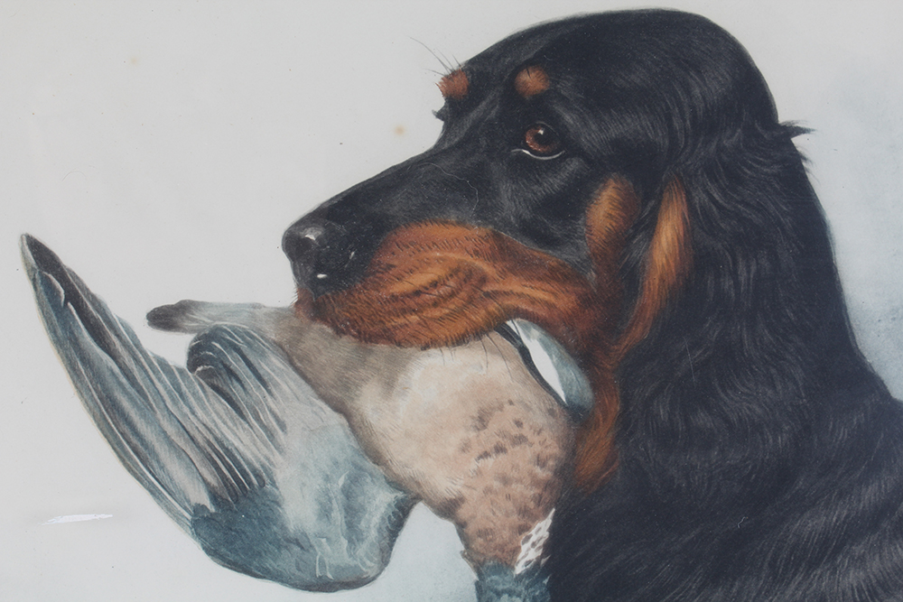 Boris Riab Prints of Original Watercolors