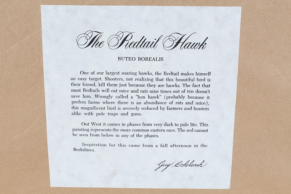 Signed Guy Coheleach "The Redtail Hawk" Lithograph