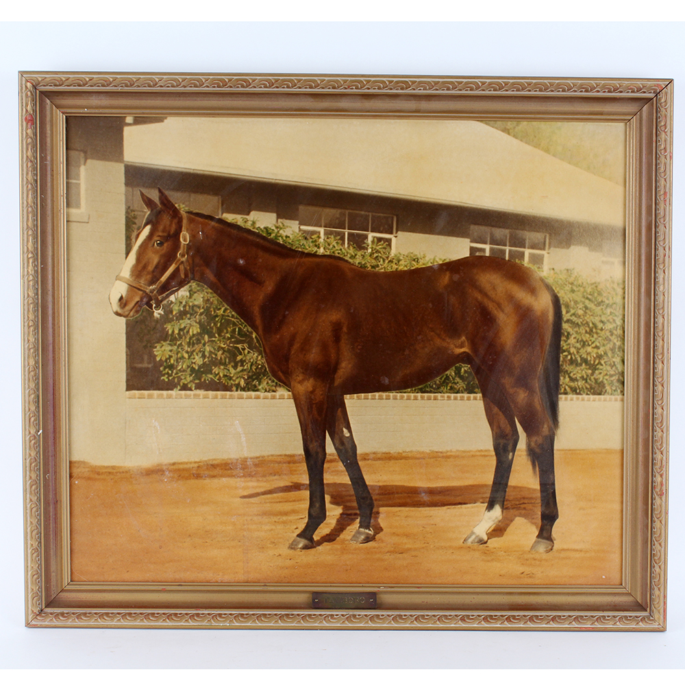Framed Equine Prints Titled "Tamboro" and "Teck"