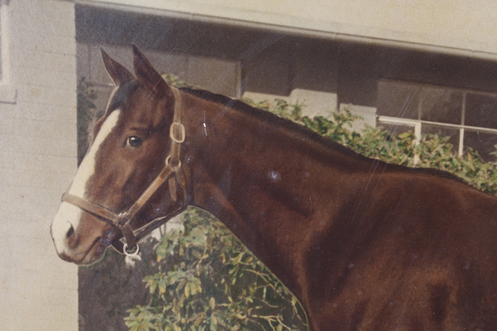 Framed Equine Prints Titled "Tamboro" and "Teck"