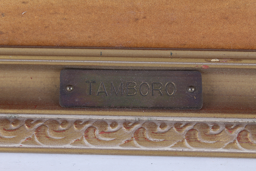 Framed Equine Prints Titled "Tamboro" and "Teck"