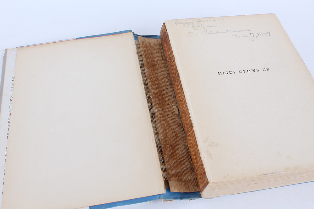 "Heidi" and "Heidi Grows Up" Novels by Johanna Spyri