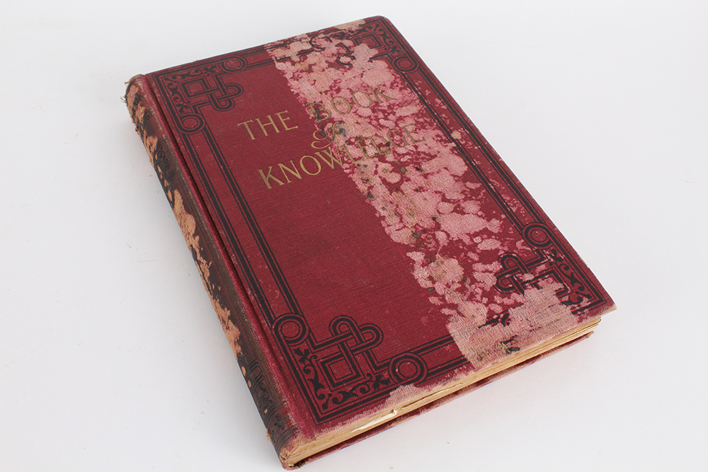 Three Volumes of "The Book of Knowledge: The Children's Encyclopedia"