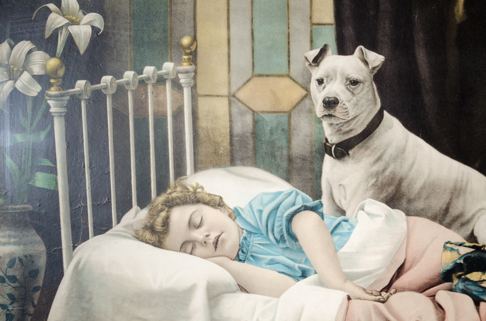 "On Guard" Print of Girl Sleeping with Dog