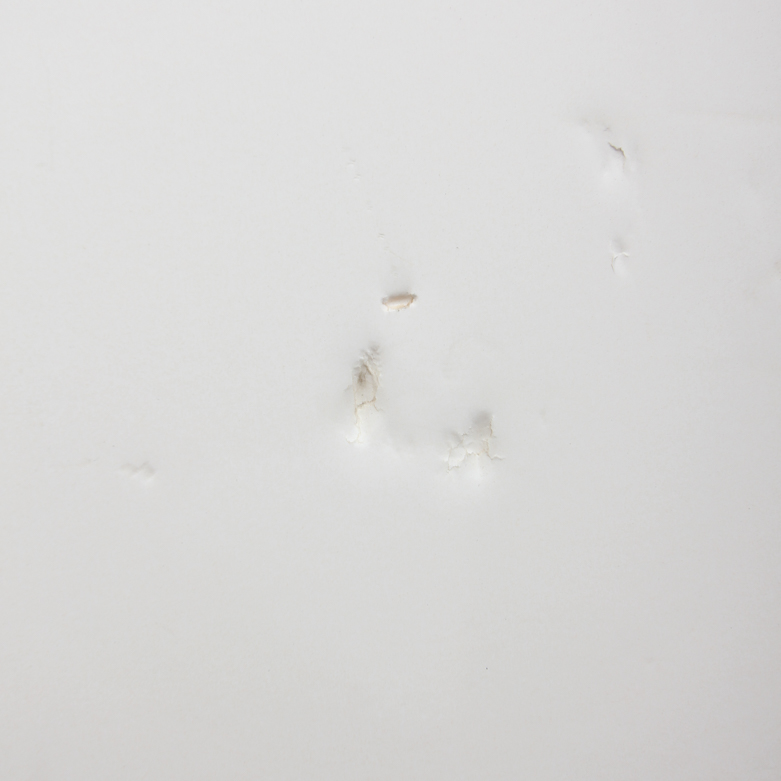 Duo of Clown Artworks