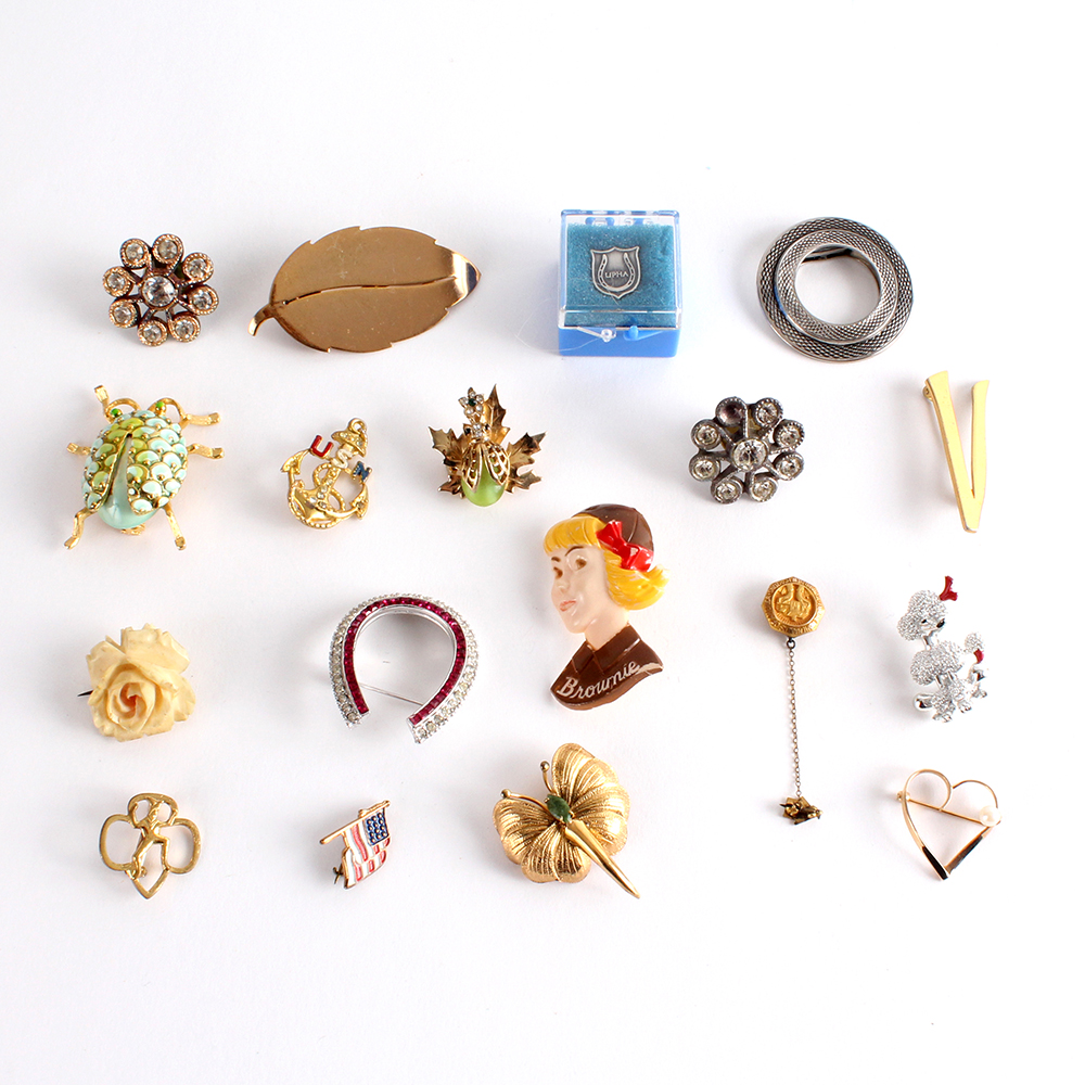 Unique Assortment of Pins