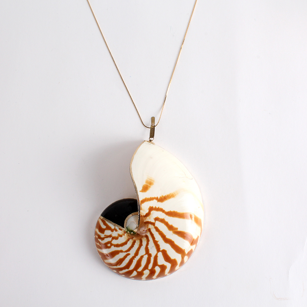 Unique Nature's Jewelry Shell Necklace