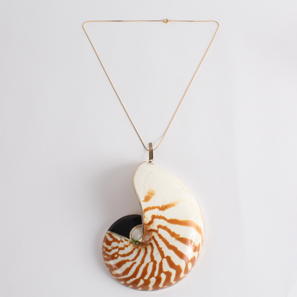 Unique Nature's Jewelry Shell Necklace