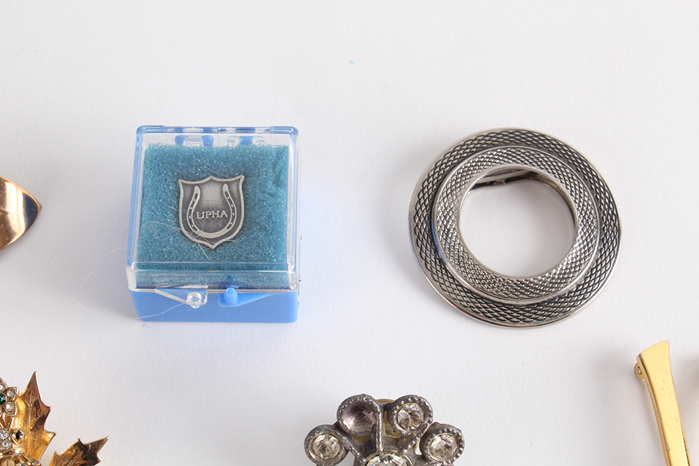 Unique Assortment of Pins